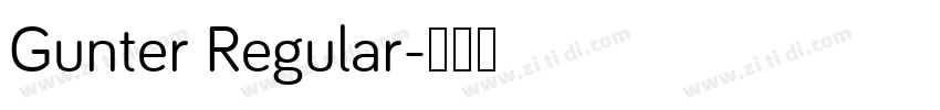 Gunter Regular字体转换